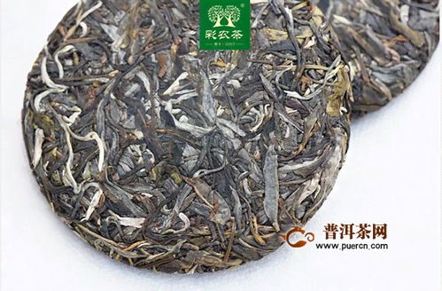 云南勐海福安茶业 从茶叶种植到品质保证的全方位解答